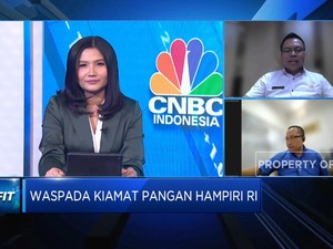 Krisis Pangan Ancam Dunia, Bapanas Yakin Stok Pangan RI Aman!