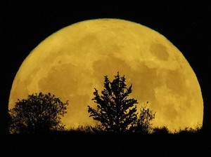 Jadwal Fenomena Full Moon dari Januari-Desember 2025, Kapan Saja?