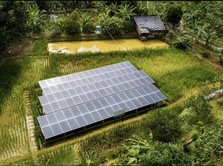 Energi untuk Bangsa: Menyalakan Semangat Membangun Indonesia