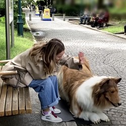 Pria Jepang Jalani Hidup sebagai Anjing, Begini Sekarang Nasibnya