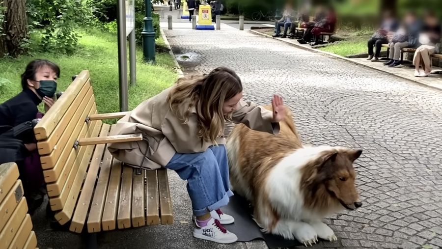 Youtuber jadi anjing. (YouTube/I want to be an animal)