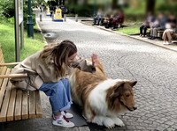 Pria Jepang Jalani Hidup sebagai Anjing, Begini Nasibnya Sekarang