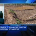Ahli Sebut RI Tak Perlu Impor Beras Hadapi El Nino, Kenapa?