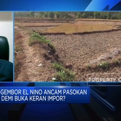Ahli Sebut RI Tak Perlu Impor Beras Hadapi El Nino, Kenapa?