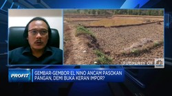 Ahli Sebut RI Tak Perlu Impor Beras Hadapi El Nino, Kenapa?