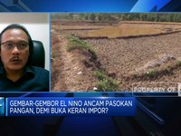Ahli Sebut RI Tak Perlu Impor Beras Hadapi El Nino, Kenapa?