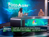 Akses Permodalan Terbatas, Petani Indonesia Sulit Naik Kelas!