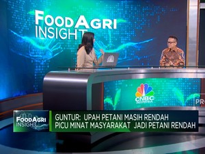 Akses Permodalan Terbatas, Petani Indonesia Sulit Naik Kelas!