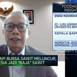 Bursa CPO Siap Meluncur, Indonesia Bakal Jadi 'Raja