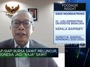 Bursa CPO Siap Meluncur, Indonesia Bakal Jadi 'Raja