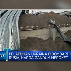 Video: Gara-gara Rusia, Harga Gandum Meroket