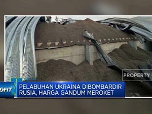 Video: Gara-gara Rusia, Harga Gandum Meroket
