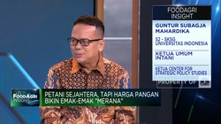 Ini Sebab Petani RI Belum Sejahtera Meski Harga Beras Cs Naik