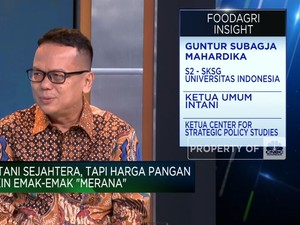 Ini Sebab Petani RI Belum Sejahtera Meski Harga Beras Cs Naik