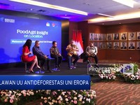 Melawan UU Antideforestasi Uni Eropa