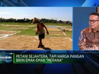 NTP Naik, Petani Indonesia Disebut Makin Sejahtera, Benarkah?