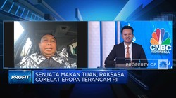 Petani Kakao: UU Anti Deforestasi Bikin Eropa Rugi Sendiri!