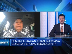 Petani Kakao: UU Anti Deforestasi Bikin Eropa Rugi Sendiri!