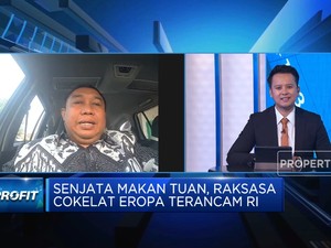 Petani Kakao: UU Anti Deforestasi Bikin Eropa Rugi Sendiri!