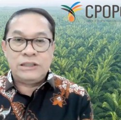 Berkaca dari RI-Malaysia, Biofuel Terbukti Tekan Emisi Karbon