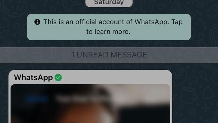 Tangkapan Layar Akun Resmi WhatsApp