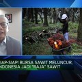 Tinggalkan Malaysia-Belanda! RI Bakal Punya Bursa Sawit