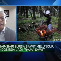 Tinggalkan Malaysia-Belanda! RI Bakal Punya Bursa Sawit