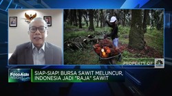 Tinggalkan Malaysia-Belanda! RI Bakal Punya Bursa Sawit