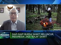 Tinggalkan Malaysia-Belanda! RI Bakal Punya Bursa Sawit