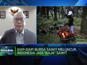 Tinggalkan Malaysia-Belanda! RI Bakal Punya Bursa Sawit