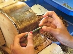 Industri Rokok di Tengah Perubahan Aturan Pemerintah, Apa Dampaknya?