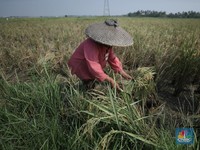 Gawat! Dompet Warga RI Dihantui La Nina