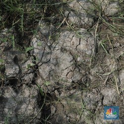 Petaka Kekeringan Hantam 27.000 Ha Pertanian RI Efek El Nino