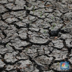 BMKG Beri Peringatan Keras, Ungkap Tanda RI Bisa Kena Petaka