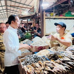Jokowi Setuju Kredit Macet Maksimal Rp 5 M Dihapus