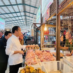 Jokowi Happy Harga Daging Ayam dan Bawang Merah Turun