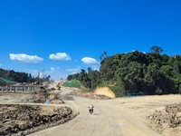 Bangun Hutan Hujan Tropis, 3 Perusahaan Masuk IKN