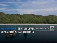 Suhu Lautan Memanas! Sentuh Level Tertinggi Sepanjang Sejarah