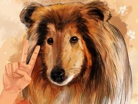 Ini Kabar Terbaru Toco, Pria Jepang yang Pilih Hidup Sebagai Anjing