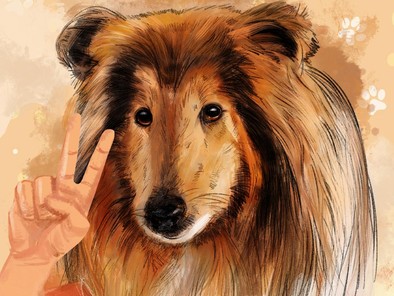 Fakta-Fakta Toco, Pria Jepang yang Bercita-Cita Jadi Hewan