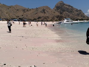 Tour Guide: Turis Kerap Keluhkan Tak Ada Toilet di Long Pink Beach TN Komodo