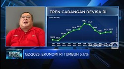 Agar DHE Sukses Perkuat Cadev, Pemerintah Harus Lakukan Ini!