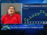 Agar DHE Sukses Perkuat Cadev, Pemerintah Harus Lakukan Ini!