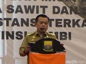 Gubernur Al Haris Serukan Seluruh Pemprov Berdonasi untuk Palestina