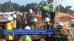 Wamendag Cek Produksi Batu Bara di Sumsel, Ada Apa?