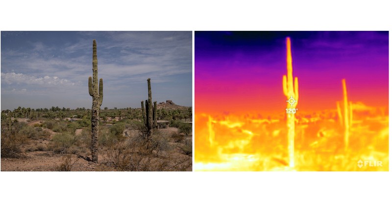 Gary, a local resident, poses for a picture as he walks on trails, during a 27 days long heat wave with temperatures over 110 degrees Fahrenheit (43 degrees Celsius) at a park in Phoenix, Arizona, U.S., July 26, 2023. On July 26 at 09:53 (GMT-7), a Flir One ProThermal camera registered a surface temperature of 105¡F (40¡C), with an air temperature of 86¡F (30¡C) according to the National Weather Service. REUTERS/Carlos Barria        SEARCH 