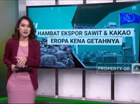 Video: Hambat Ekspor Sawit & Kakao Eropa Kena Getahnya