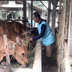 Lewat PUMK, PTBA Sukses Tingkatkan Penghasilan Petani