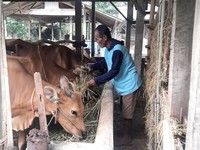 Lewat PUMK, PTBA Sukses Tingkatkan Penghasilan Petani