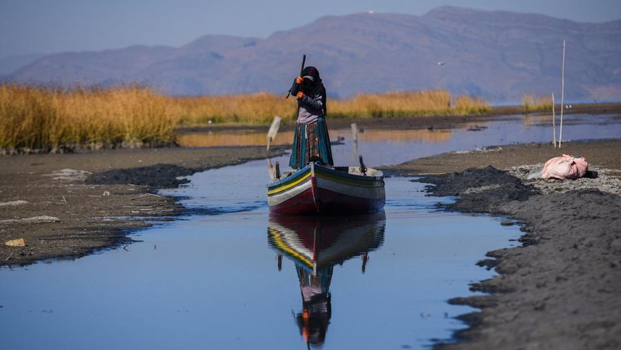 Seorang nelayan wanita mendayung perahunya melalui jalur air sempit di dekat pantai Danau Titicaca pada musim kemarau di Huarina, Bolivia 3 Agustus 2023. (REUTERS/Claudia Morales)